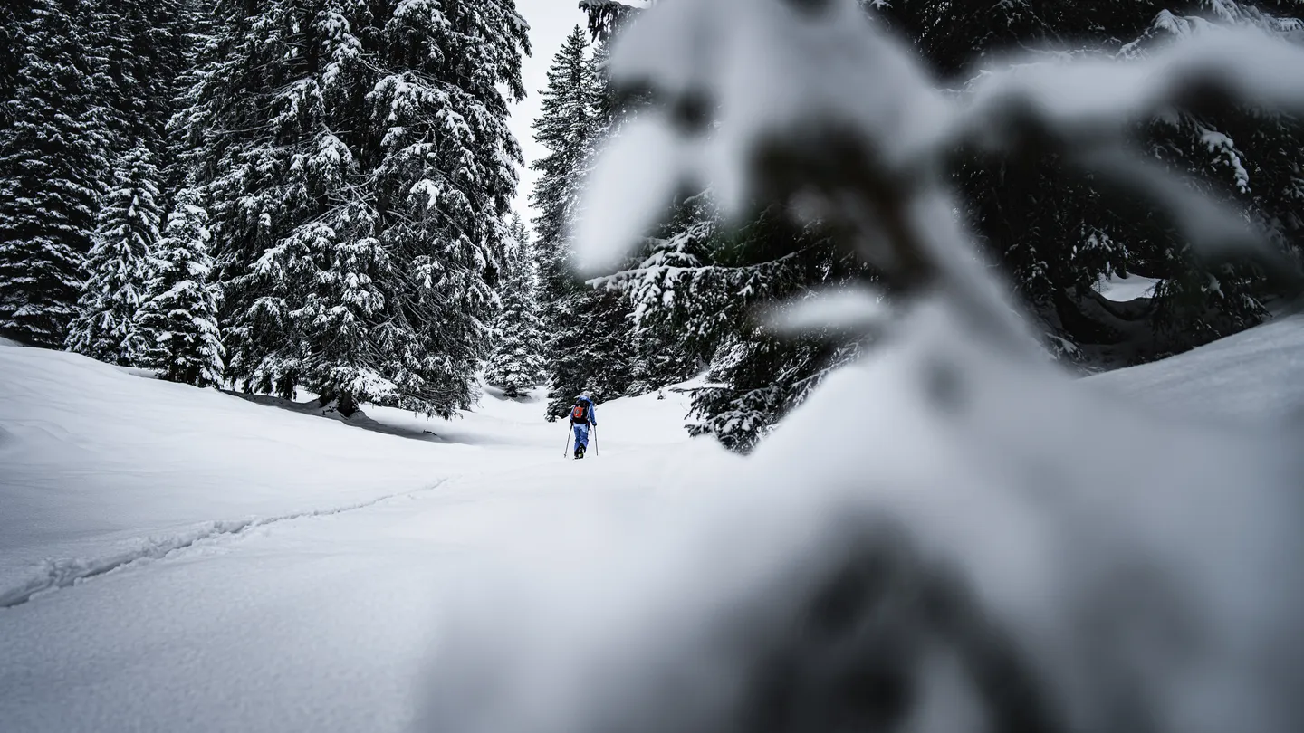 Freeride- und Ski-Fotografie in den Schweizer Alpen, edith at flumsi — Bild 9
