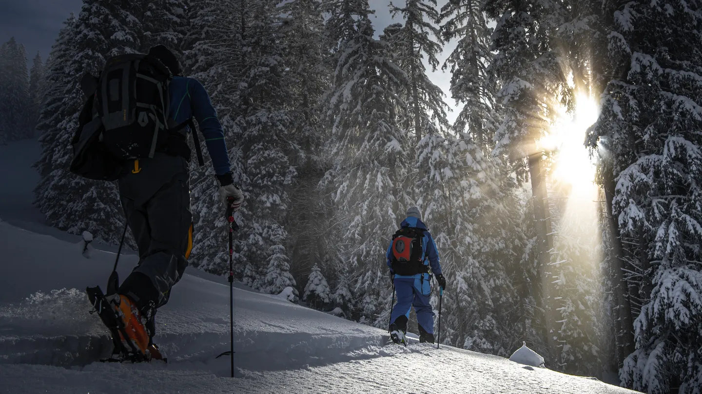 Freeride- und Ski-Fotografie in den Schweizer Alpen, rossberg — Bild 7